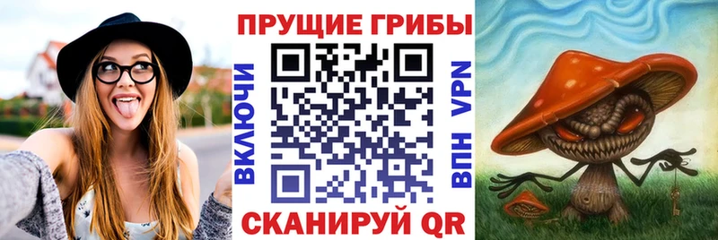 Псилоцибиновые грибы GOLDEN TEACHER  закладка  blacksprut как зайти  Самара 
